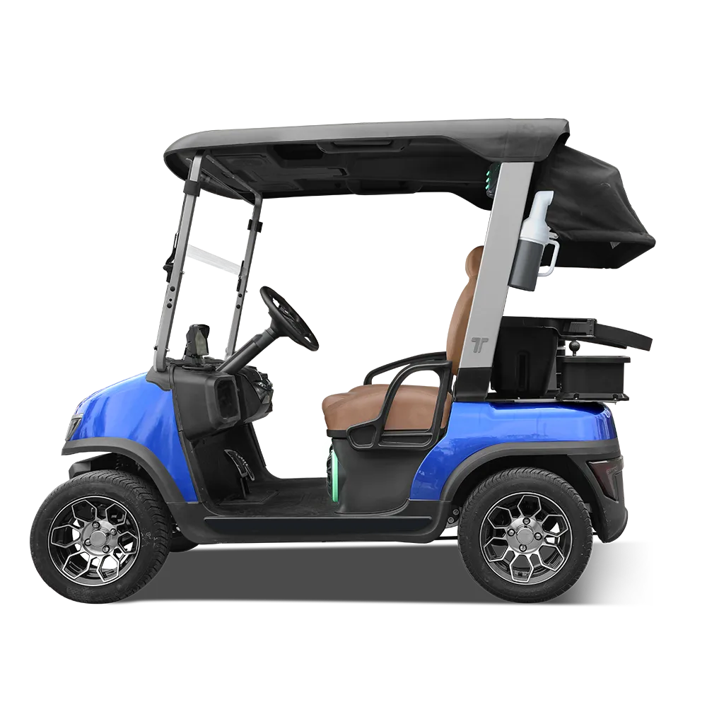 TARA EV golf cart