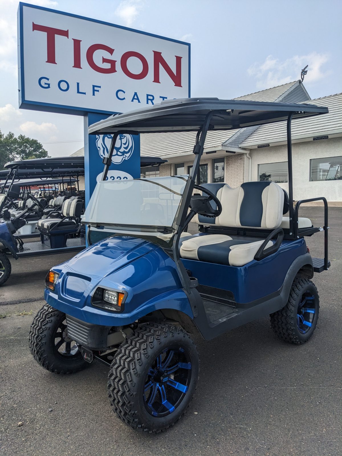 Club Car® Precedent Electric 2008