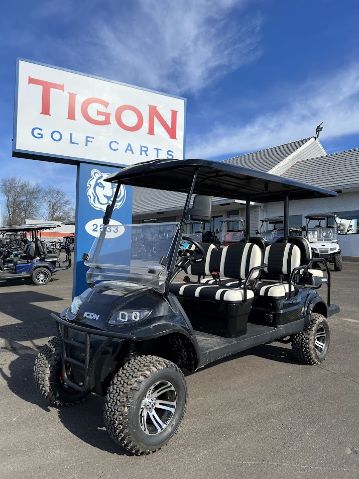 ICON® i60L Black Tigon Golf Carts 15,300