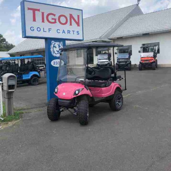 2013 Yamaha® G29 Gas - PINK