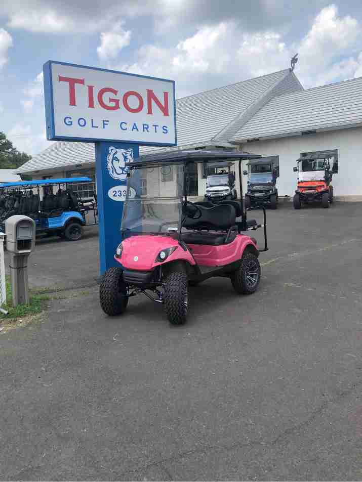 2013 Yamaha® G29 Gas - PINK