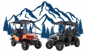 DENAGO EV GOLF CART DEALERSHIP TIGON GOLF CARTS