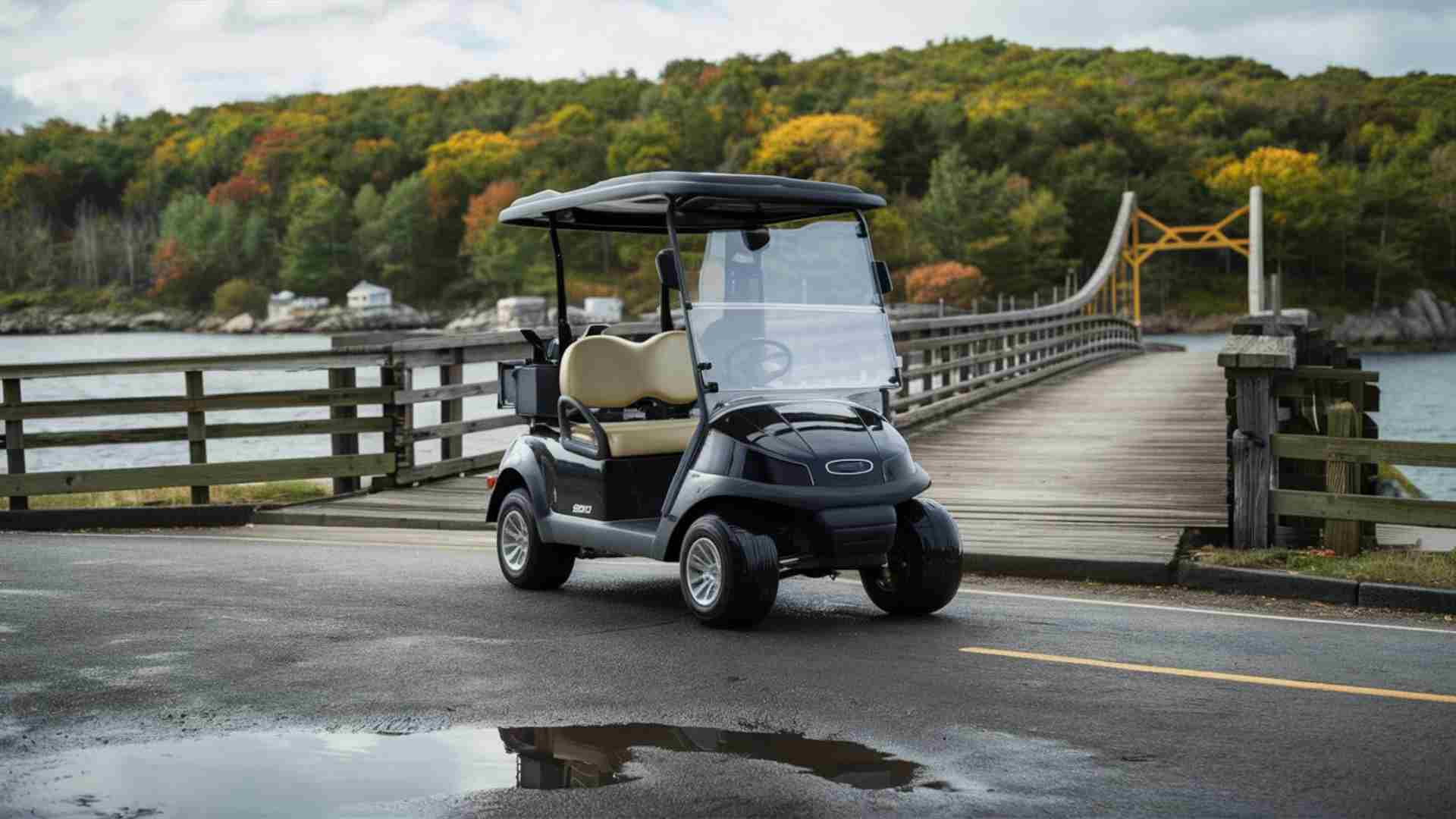 Popularity of Golf Carts