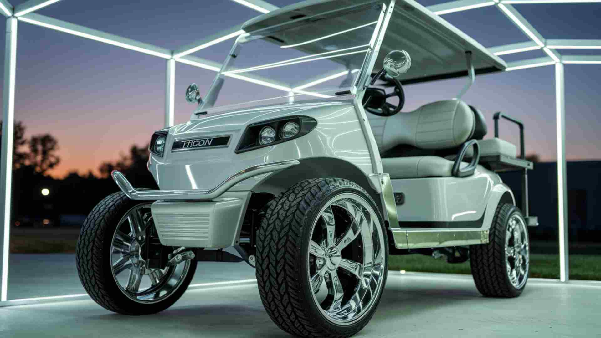 LSV, NEV, MSV, ATV, UTV, Custom, Street Legal, Golf Carts, Golf Cars (2)