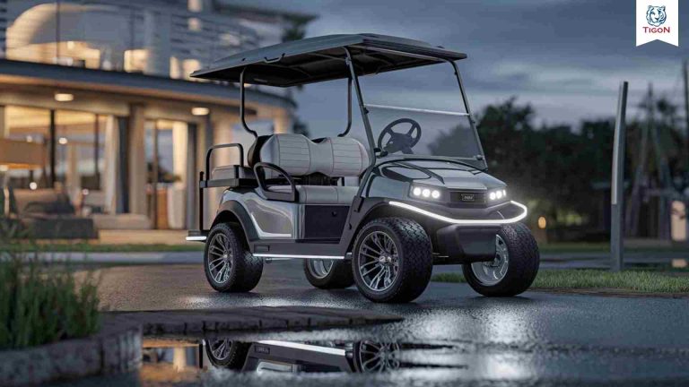 2025 Golf Cart, LSV, NEV, MSV, Inventory