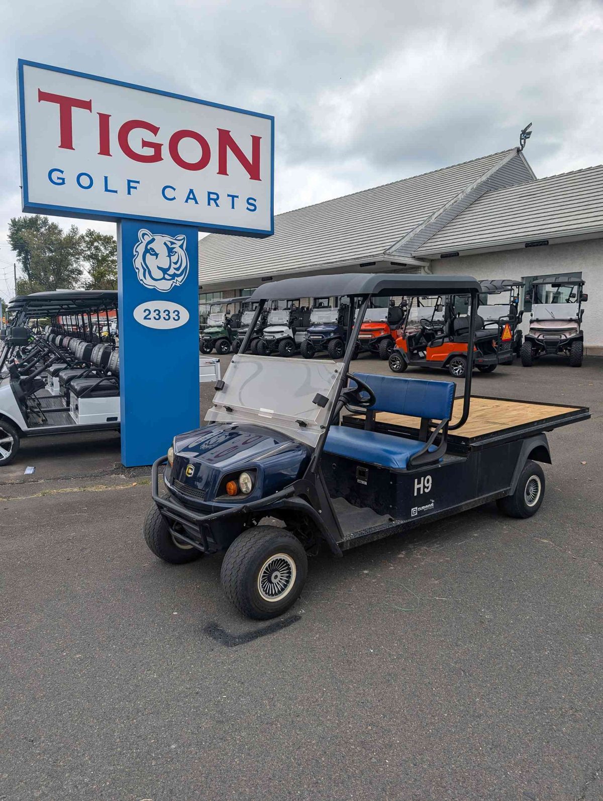 EZGO® Cushman Blue In Hatfield PA