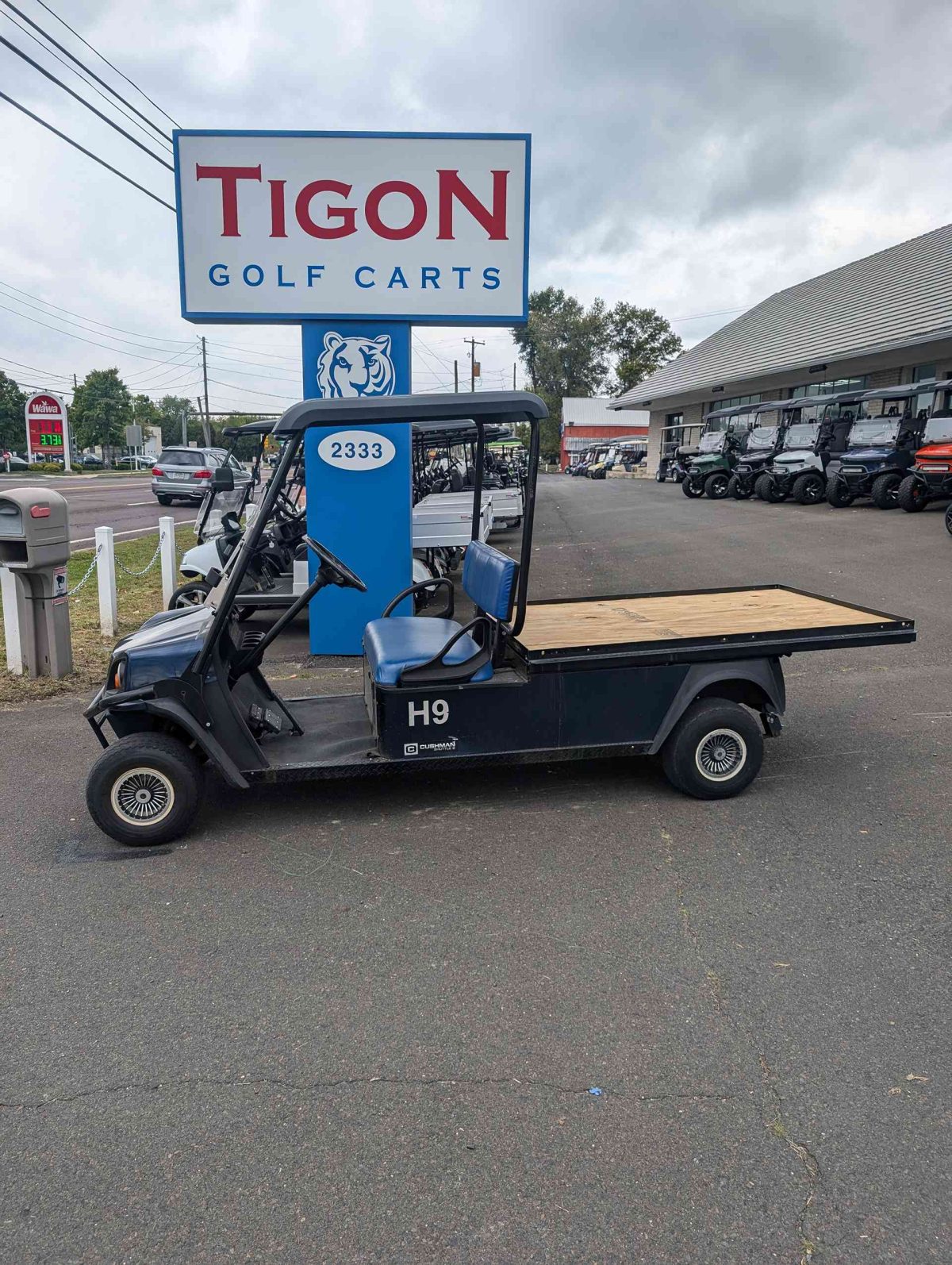 EZGO® Cushman Blue In Hatfield PA