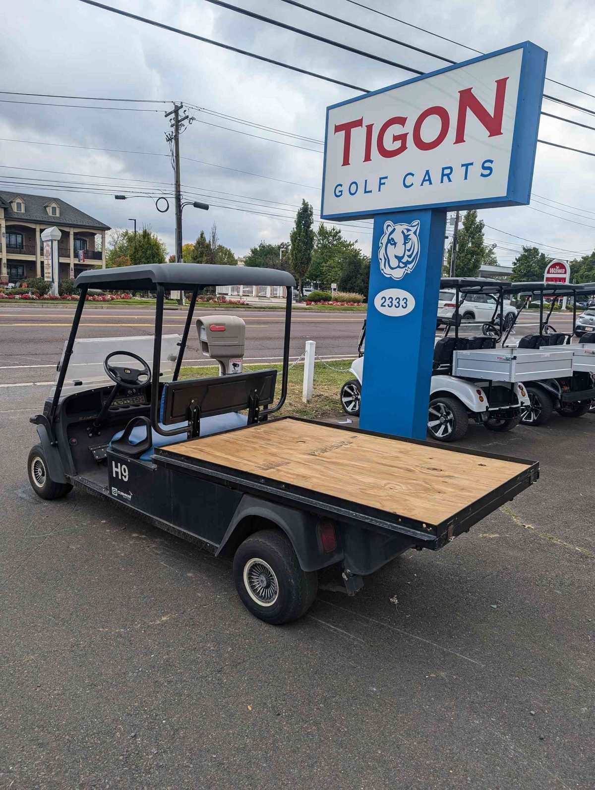 EZGO® Cushman Blue In Hatfield PA