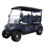 BLUE EVOLUTION D5-RANGER 4 PLUS AT TIGON GOLF CARTS