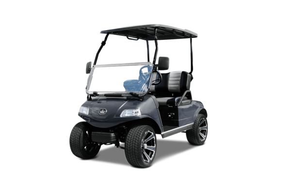 CLASSIC 2 PLUS ARCTIC GRAY TIGON GOLF CARTS