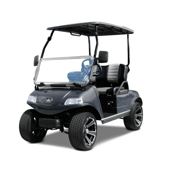 CLASSIC 2 PLUS ARCTIC GRAY TIGON GOLF CARTS