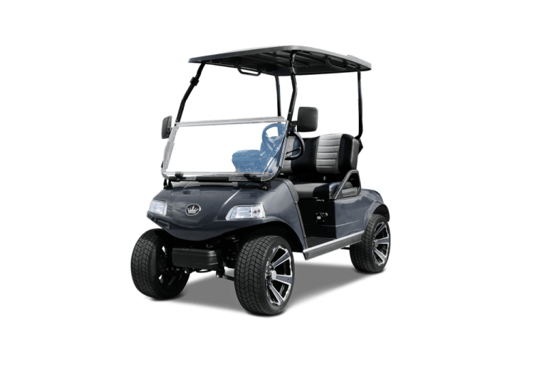 CLASSIC 2 PLUS ARCTIC GRAY TIGON GOLF CARTS