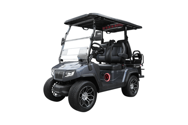 GRAY-D5-RANGER 2+2 PLUS TIGON GOLF CARTS