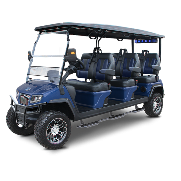 BLUE EVOLUTION D5-MAVERICK 6 TIGON GOLF CARTS