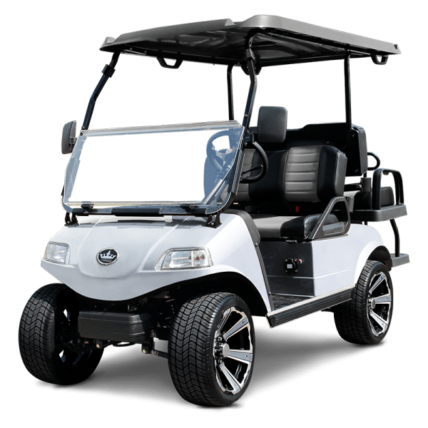 SILVER CLASSIC 4 PRO TIGON GOLF CARTS