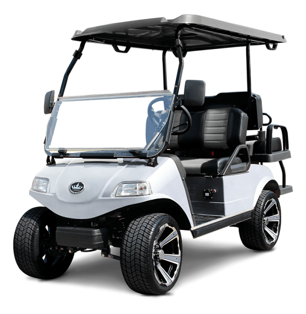 SILVER CLASSIC 4 PRO TIGON GOLF CARTS