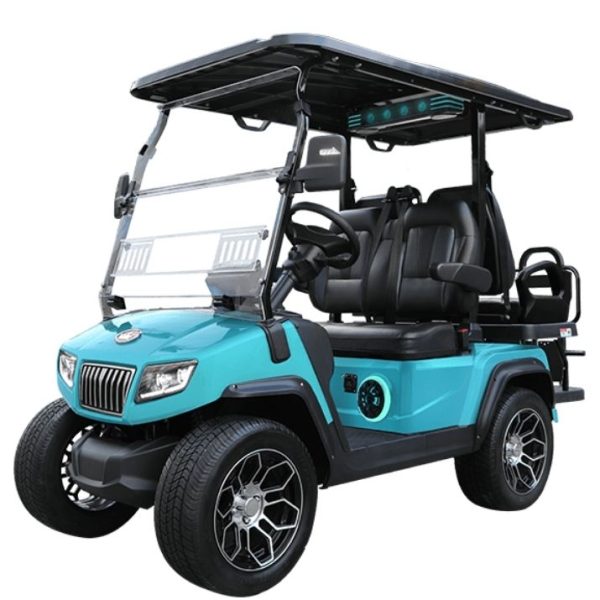 SKY-BLUE-D5-RANGER-22-PLUS-TIGON-GOLF-CARTS