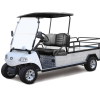 EVOLUTION TURFMAN 1000 AT TIGON GOLF CARTS