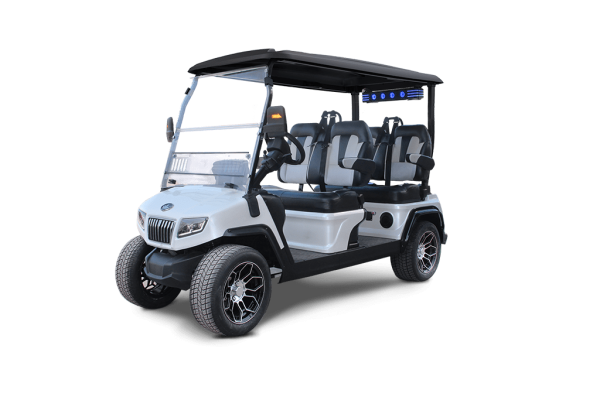 WHITE D5-RANGER 4 TIGON GOLF CARTS