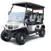 WHITE-EVOLUTION-D5-MAVERICK-4-TIGON-GOLF-CARTS