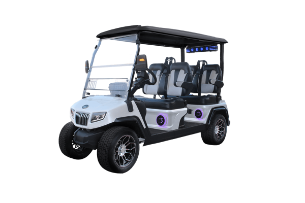 WHITE EVOLUTION D5 RANGER 4 PLUS TIGON GOLF CARTS