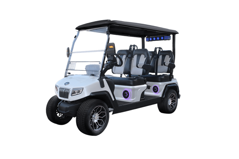 WHITE EVOLUTION D5 RANGER 4 PLUS TIGON GOLF CARTS