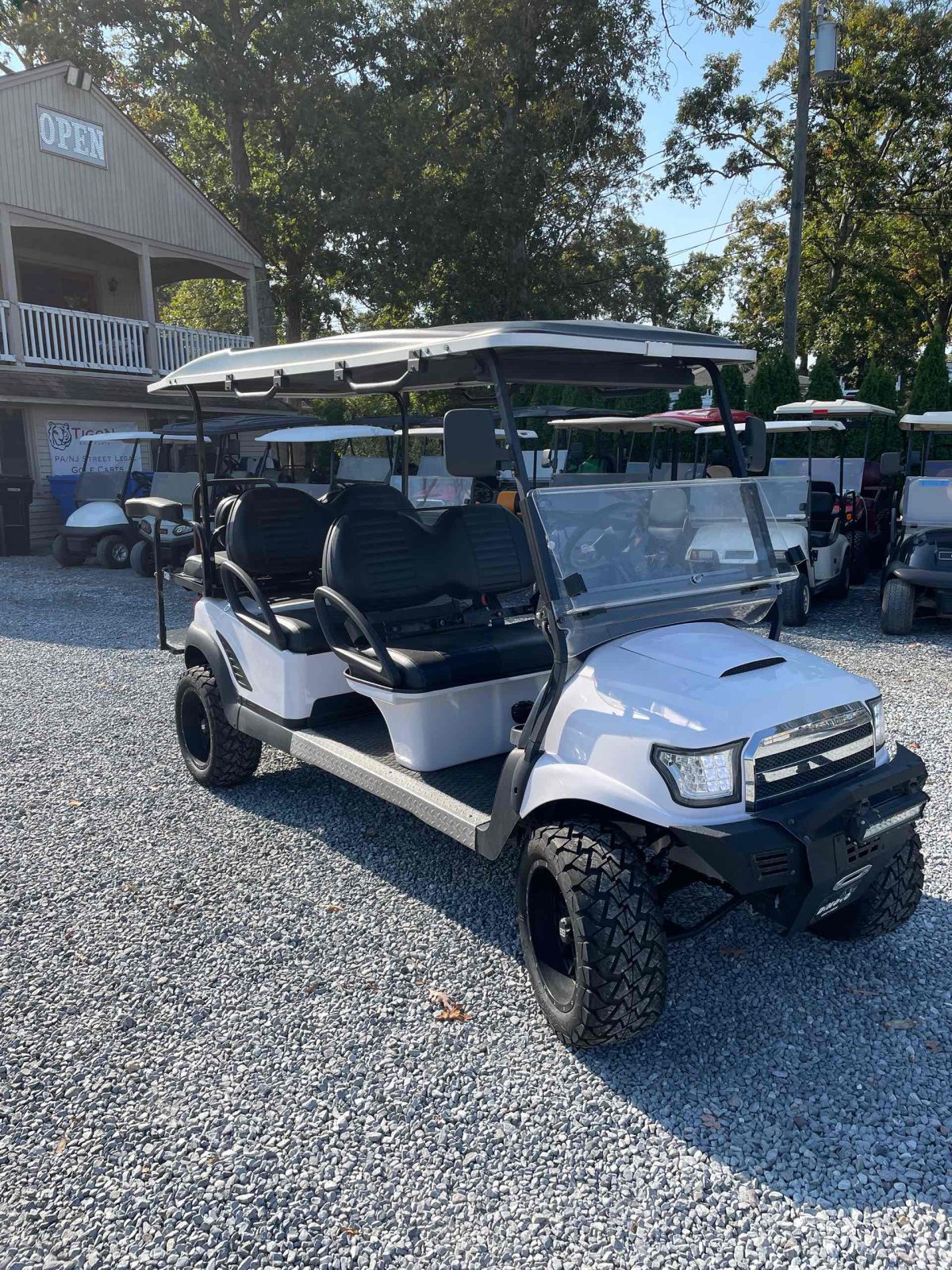 Club Car® Precedent White In Ocean View NJ