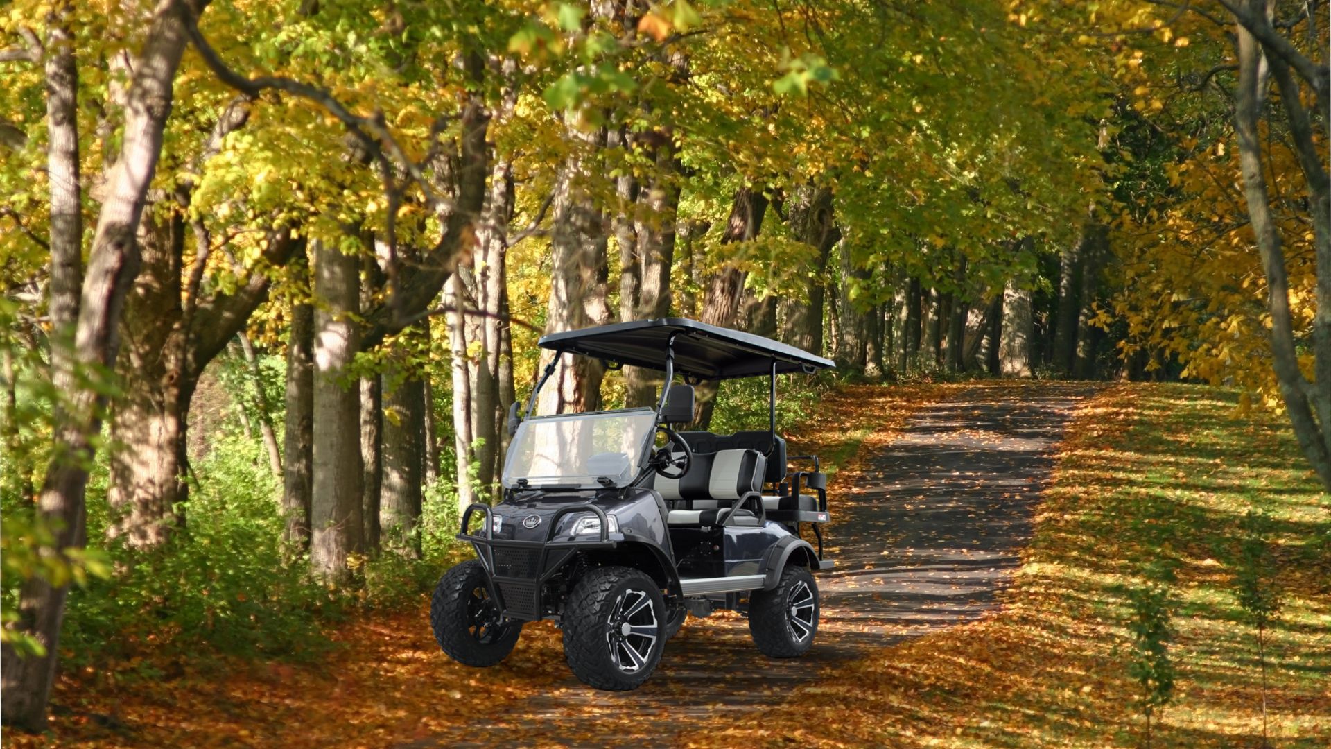 evolution forester 4 plus tigon golf carts (6)