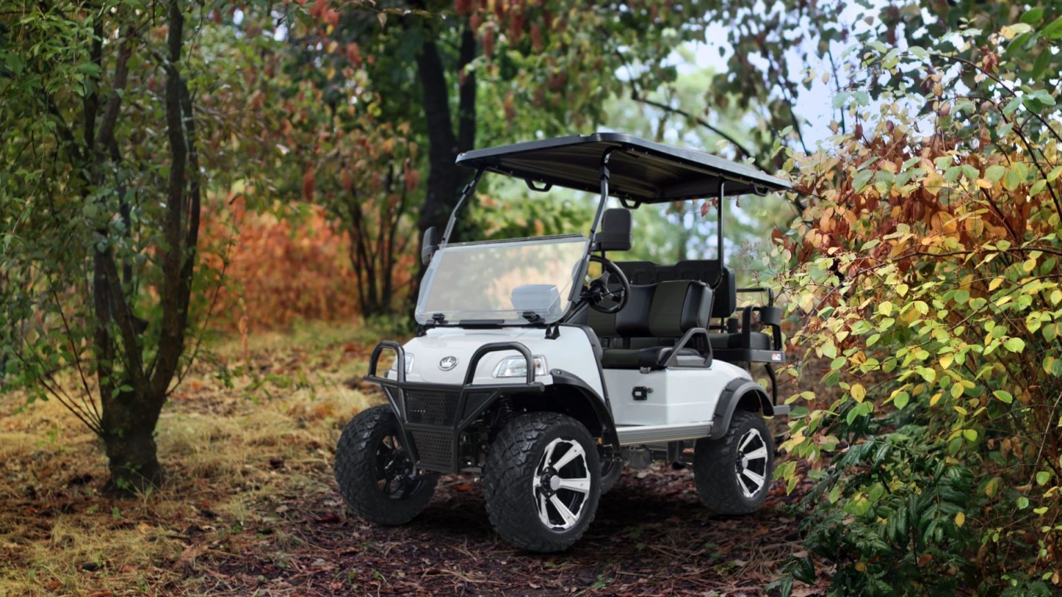 evolution forester 4 plus tigon golf carts (7)