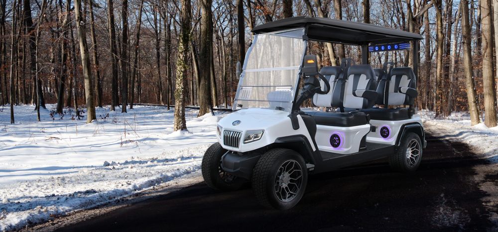 EVOLUTION® D5 RANGER 4 PLUS - TIGON GOLF CARTS