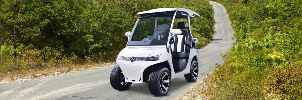 EVolution® D3 - Golf Cart - TIGON GOLF CARTS (4)