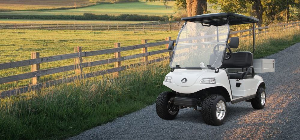 EVolution® Turfman 200 - Utility Golf Cart - TIGON GOLF CARTS (2)