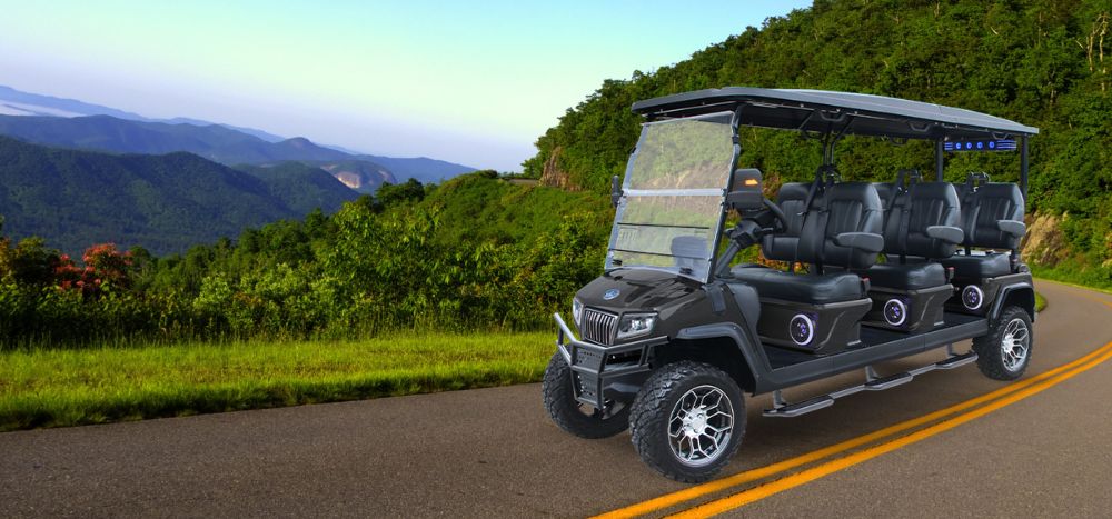 FRONT EVOLUTION D5 MAVERICK 6 PLUS - TIGON GOLF CARTS (1)