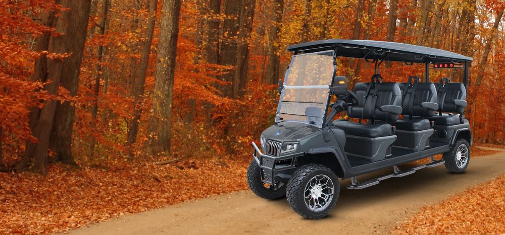 FRONT EVOLUTION D5 MAVERICK 6 - TIGON GOLF CARTS (2)