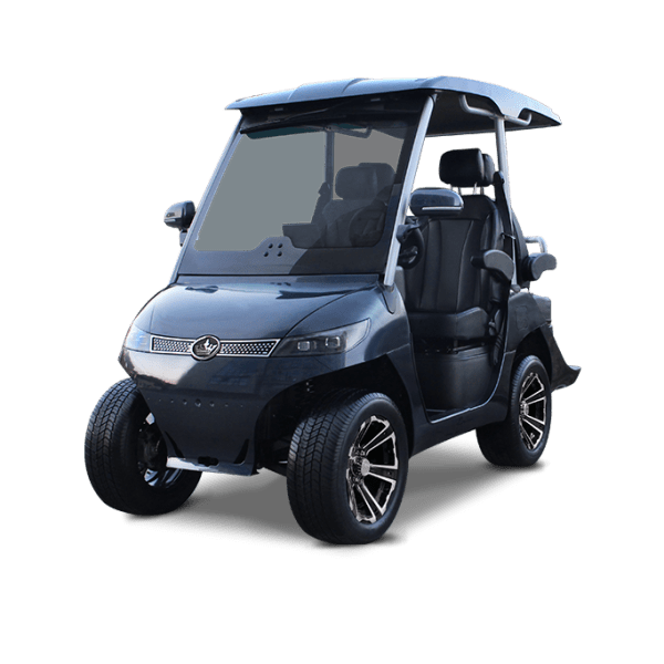 GRAY EVOLUTION D3 -TIGON GOLF CARTS