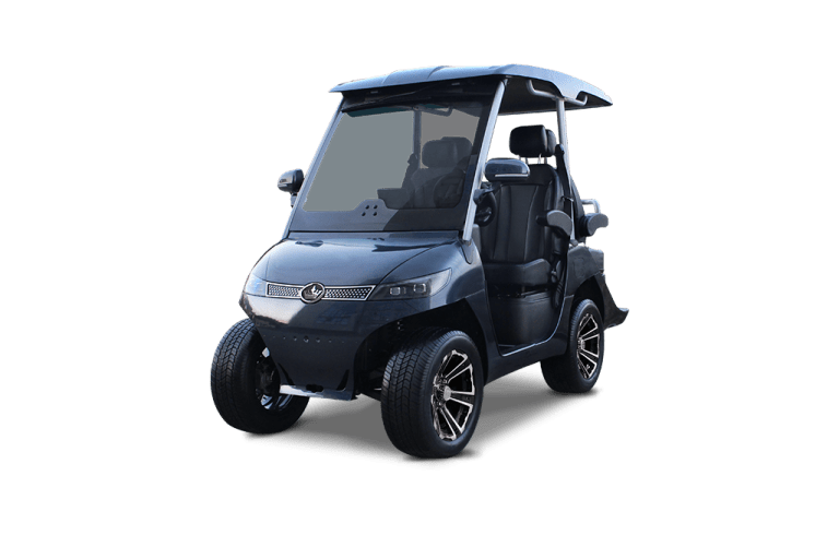 GRAY EVOLUTION D3 -TIGON GOLF CARTS