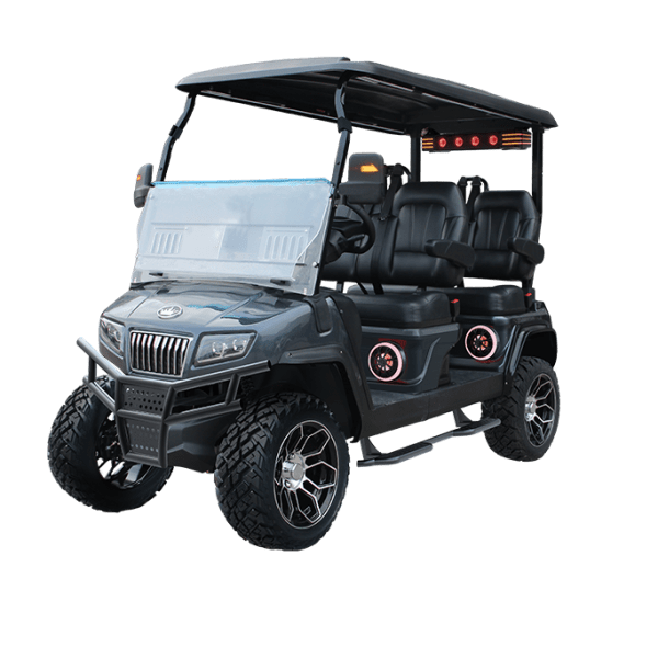 GRAY EVOLUTION D5-MAVERICK 4 PLUS AT TIGON GOLF CARTS