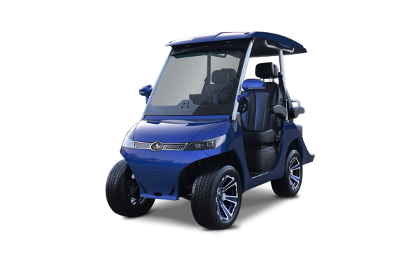 LIGHT BLUE EVOLUTION D3 -TIGON GOLF CARTS