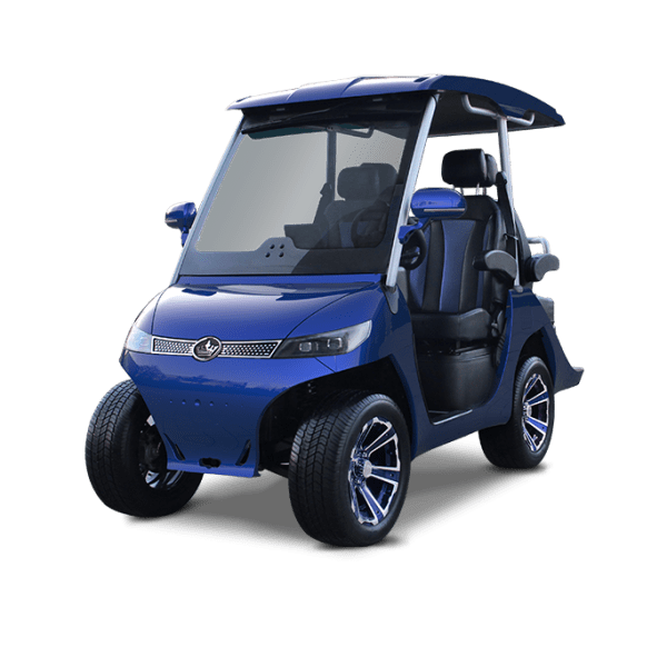 LIGHT BLUE EVOLUTION D3 -TIGON GOLF CARTS