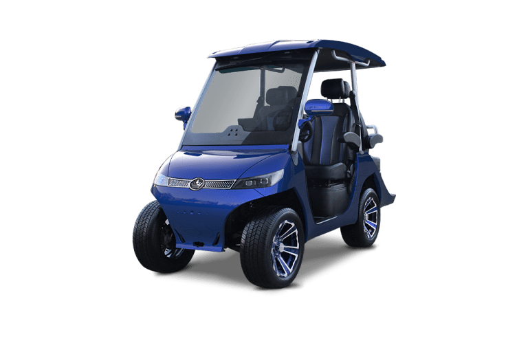 LIGHT BLUE EVOLUTION D3 -TIGON GOLF CARTS