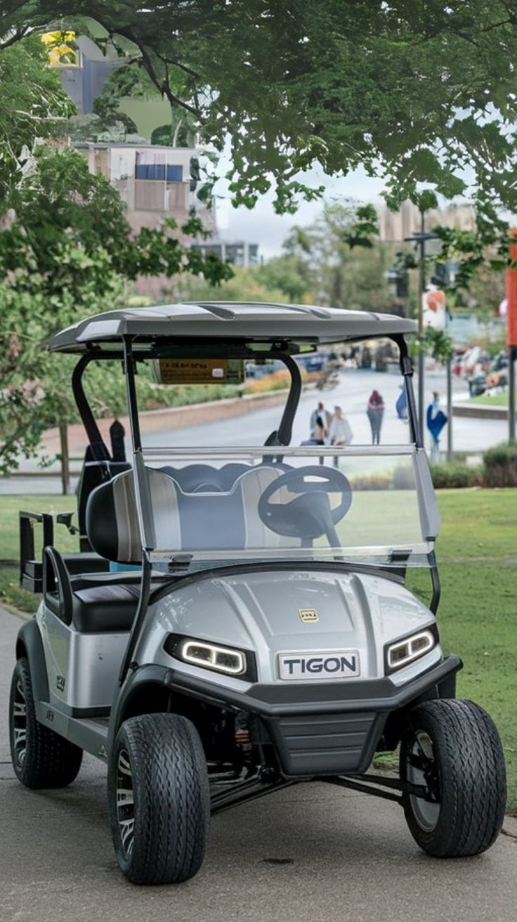 Discover the Best Silver Golf Carts for Sale Affordable Luxury Awaits (1)