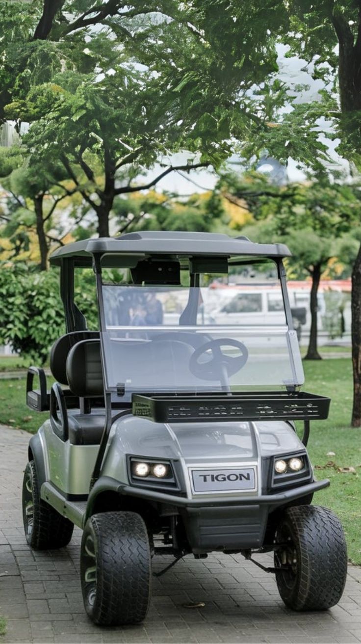 Discover the Best Silver Golf Carts for Sale Affordable Luxury Awaits (1)