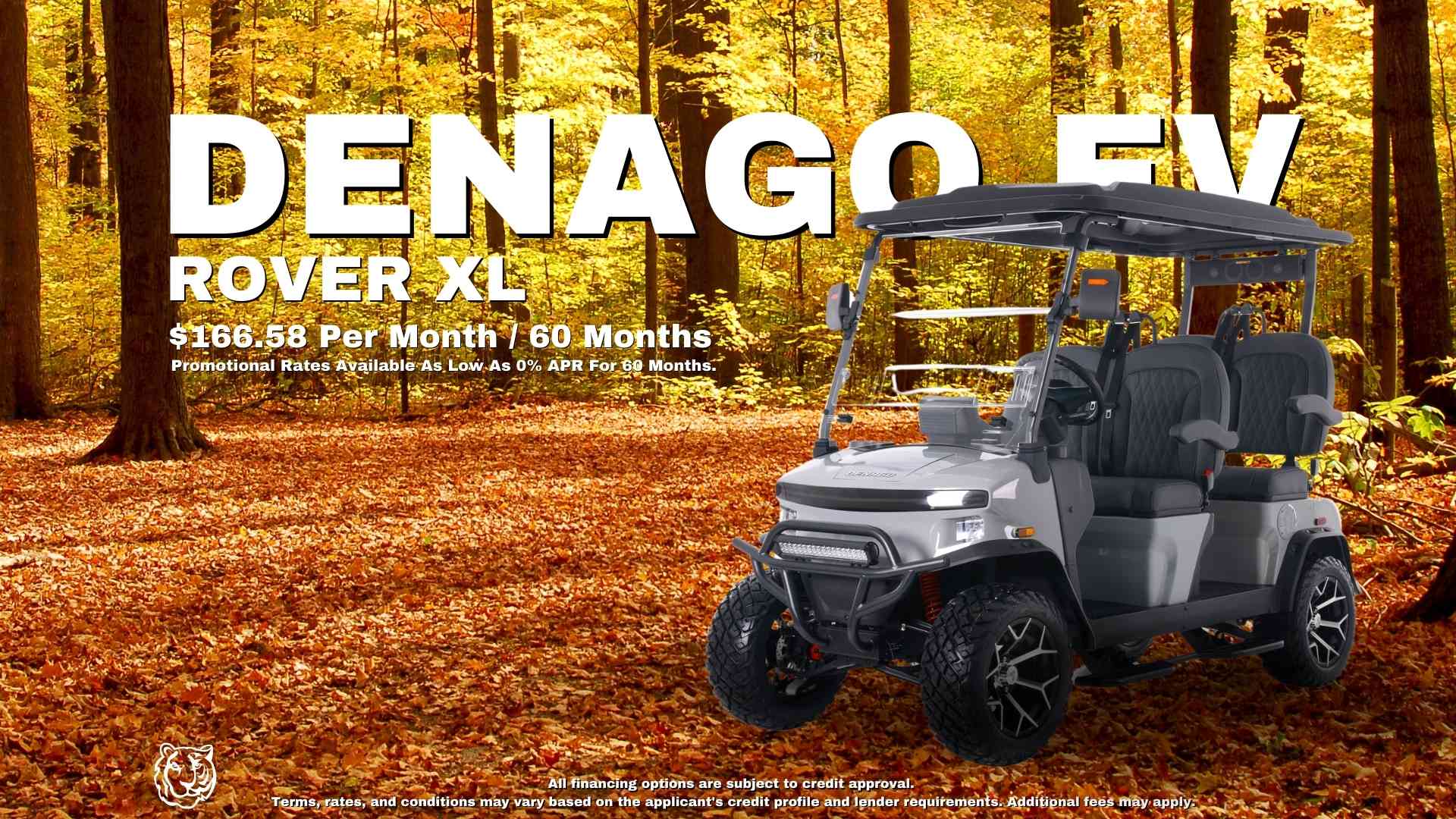 Gray DENAGO EV ROVER XL PROMO