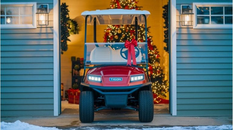 Make This Christmas Memorable 5 Reasons a Golf Cart Is the Ideal Gift