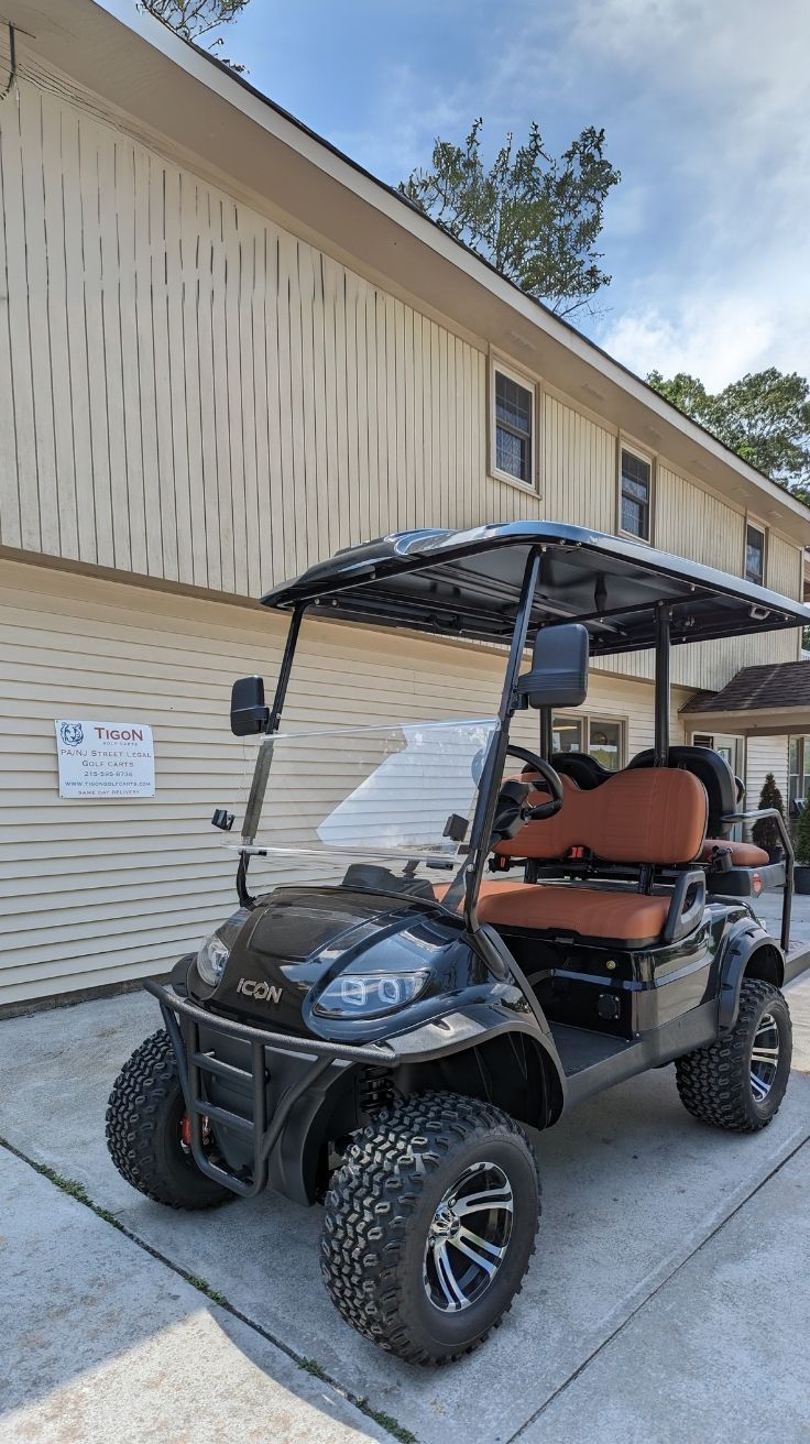 Unleash Luxury The Best Black Golf Carts for Style and Performance (3)