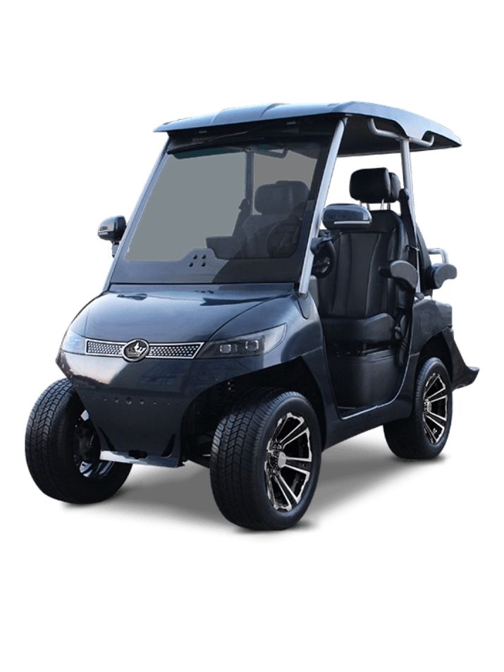 EVolution®-D3-GRAY-TIGON-GOLF-CARTS