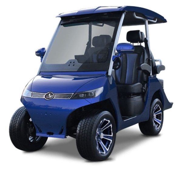 EVolution®-D3-LIGHT-BLUE-TIGON-GOLF-CARTS