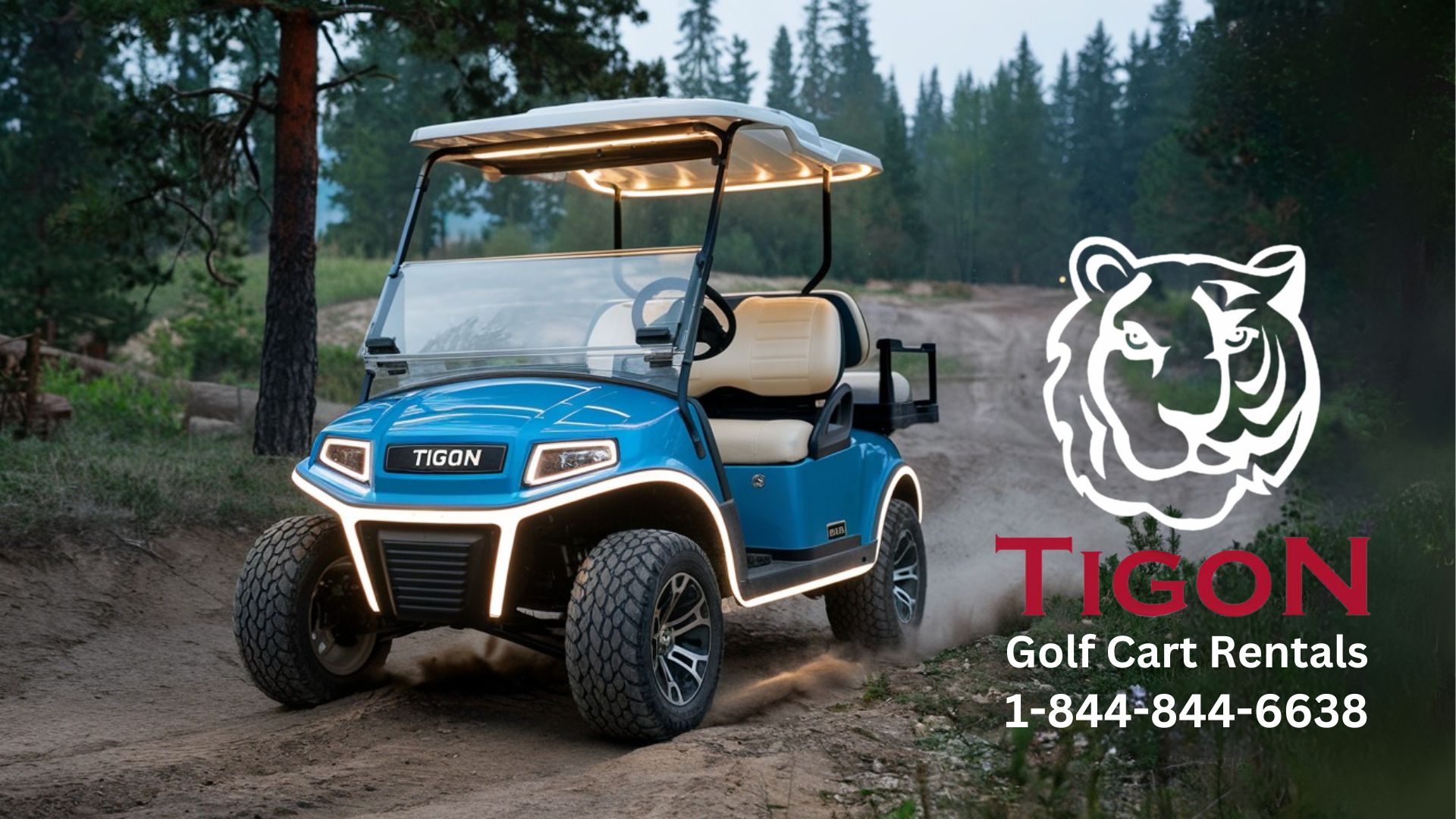 Spring Golf Cart Rentals