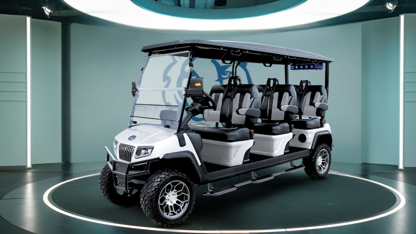 NEW GOLF CARTS DEALERSHIP IN HATFIELD PENNSYLVANIA TIGON GOLF CARTS (2)