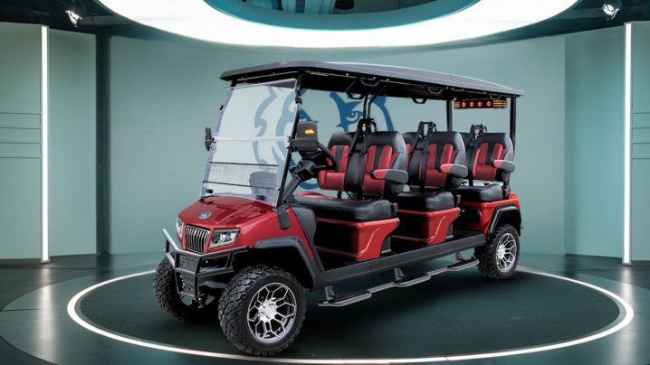 NEW GOLF CARTS DEALERSHIP IN OCEAN VIEW NEW JERSEY TIGON GOLF CARTS